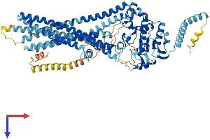 CCL17 Protein (AA 1-740) (His tag)