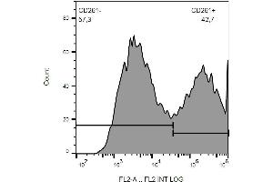 Surface staining of CD261-transfected HEK-293 cells with anti-CD261/TRAIL-R1 PE.