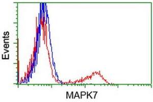 HEK293T cells transfected with either RC203506 overexpress plasmid (Red) or empty vector control plasmid (Blue) were immunostained by anti-MAPK7 antibody (ABIN2454054), and then analyzed by flow cytometry. (MAPK7 Antikörper)