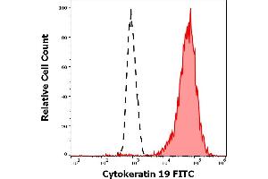 Separation of MCF-7 cells stained using anti-Cytokeratin 19 (A53-B/A2) FITC antibody (concentration in sample 3 μg/mL, red-filled) from MCF-7 cells stained using mouse IgG2b isotype control (MPC-11) FITC antibody (concentration in sample 3 μg/mL, same as anti-Cytokeratin 19 FITC antibody concentration, black-dashed) in flow cytometry analysis (surface staining). (Cytokeratin 19 Antikörper  (FITC))