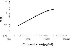 Sandwich ELISA - Recombinant mouse VE Cadherin/Cdh5 protein standard curve.