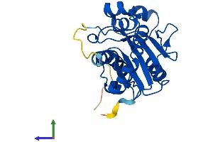 AlphaFold protein structure predicition of Mouse Recombinant Trex2 Protein, UniprotID Q9R1A9