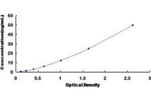 Typical standard curve (Riboflavin Kinase ELISA Kit)