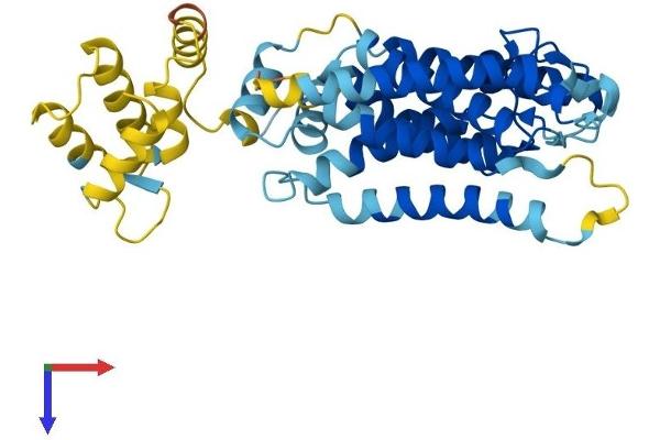 RHBDL1 Protein (AA 1-373) (His tag)