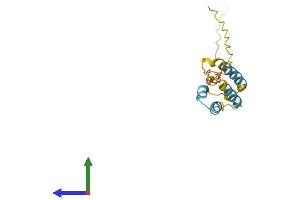 AlphaFold protein structure predicition of Human Recombinant PPP1R14A Protein, UniprotID Q96A00