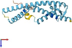 TMCO1 Protein (AA 1-188) (His tag)