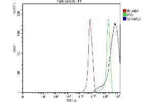Flow Cytometry analysis of RT4 cells using anti-SNAP23 antibody (ABIN7599089). (SNAP23 Antikörper  (AA 1-211))