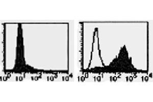 Flow Cytometry (FACS) image for anti-Tumor Necrosis Factor (Ligand) Superfamily, Member 13b (TNFSF13B) antibody (ABIN1449224) (BAFF Antikörper)