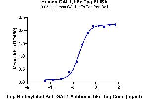 ELISA image for Lectin, Galactoside-Binding, Soluble, 1 (LGALS1) (AA 2-135) protein (Fc Tag) (ABIN7274694)