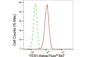 Flow cytometric analysis of YES1 expression in HepG2 cells using YES1 antibody (ABIN7800809), 1:2,000).