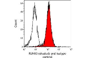 Flow Cytometry (FACS) image for anti-Runt-Related Transcription Factor 3 (RUNX3) (AA 1-50) antibody (ABIN7454015)
