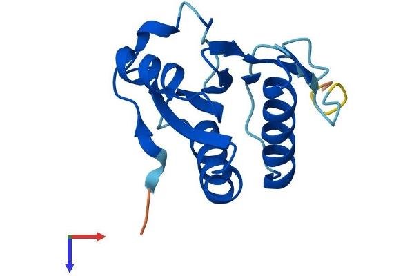 TXNL4A Protein (AA 1-142) (His tag)