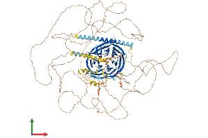 Protein Structure (PS) image for Partner and Localizer of BRCA2 (PALB2) (AA 1-1186) protein (His tag) (ABIN7554852)