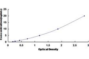 Typical standard curve (NUP62 ELISA Kit)