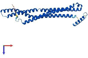 BIN3 Protein (AA 1-253) (His tag)