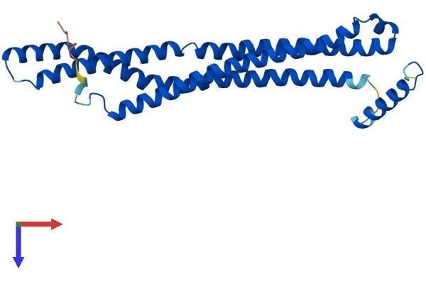 BIN3 Protein (AA 1-253) (His tag)