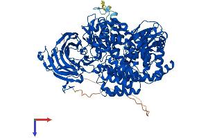 ERAP2 Protein (AA 1-960) (His tag)