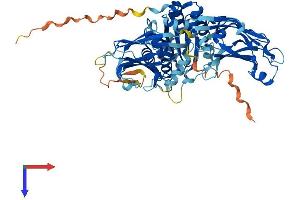 Copine V Protein (CPNE5) (AA 1-593) (His tag)