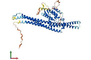 Protein Structure (PS) image for Sorting Nexin 8 (SNX8) (AA 1-465) protein (His tag) (ABIN7546293)