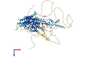 CLCN1 Protein (AA 1-988) (His tag)