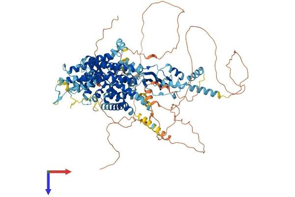 CLCN1 Protein (AA 1-988) (His tag)