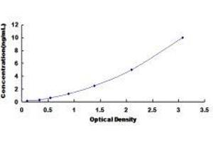 ELISA image for Spectrin Beta, Non-Erythrocytic 4 (SPTBN4) ELISA Kit (ABIN421555)