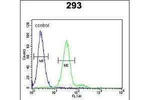 KIT Antibody  g flow cytometric analysis of 293 cells (right histogram) compared to a negative control cell (left histogram). (KIT Antikörper  (AA 680-711))