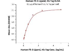 Immobilized Human Flt-3, Fc Tag (ABIN6731308,ABIN6809860) at 5 μg/mL (100 μL/well) can bind Human Flt-3 Ligand, His Tag (ABIN5954994,ABIN6253536) with a linear range of 0.