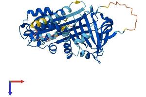 SERPINB13 Protein (AA 1-389) (His tag)