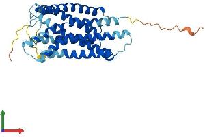 AlphaFold protein structure predicition of Mouse Recombinant Gpr35 Protein, UniprotID Q9ES90