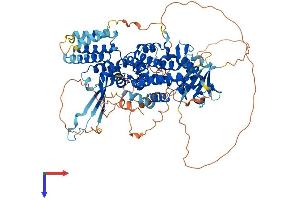 RGL2 Protein (AA 1-777) (His tag)