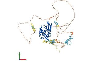 Protein Structure (PS) image for Suppressor of Cytokine Signaling 5 (SOCS5) (AA 1-536) protein (His tag) (ABIN7562447)
