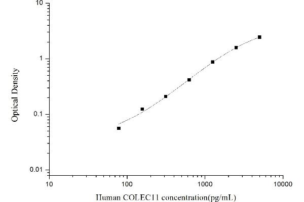 COLEC11 ELISA Kit