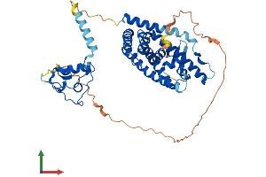 Protein Structure (PS) image for Nuclear Receptor Subfamily 1, Group H, Member 3 (NR1H3) (AA 1-445) protein (His tag) (ABIN7565264)