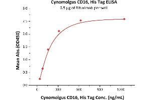 Immobilized Rituximab at 5 μg/mL (100 μL/well) can bind Cynomolgus CD16, His Tag (BLI verified) (ABIN5674616,ABIN6253653,ABIN6951017) with a linear range of 39-313 ng/mL (QC tested). (FCGR3B Protein (AA 17-208) (His tag))
