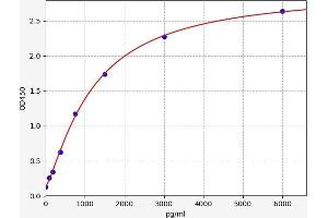 BMF ELISA Kit