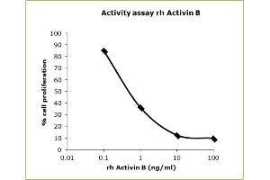 Image no. 3 for Inhibin, beta B (INHBB) (Active) protein (His tag) (ABIN809199)
