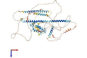 PBXIP1 Protein (AA 1-727) (His tag)