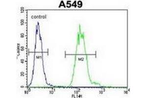 Flow cytometric analysis of A549 cells using TTRAP Antibody (C-term) Cat. (TDP2 Antikörper  (C-Term))
