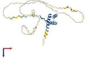 HOXA5 Protein (AA 1-270) (His tag)