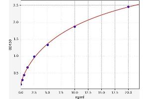 Protease, Serine, 23 (PRSS23) ELISA Kit
