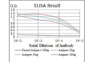 Black line: Control Antigen (100 ng), Purple line: Antigen(10 ng), Blue line: Antigen (50 ng), Red line: Antigen (100 ng), (NQO1 Antikörper)