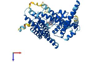 MBOAT4 Protein (AA 1-435) (His tag)