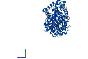 AlphaFold protein structure predicition of Human Recombinant CYP39A1 Protein, UniprotID Q9NYL5