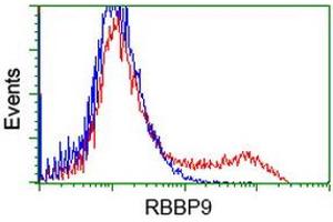HEK293T cells transfected with either RC202090 overexpress plasmid (Red) or empty vector control plasmid (Blue) were immunostained by anti-RBBP9 antibody (ABIN2453589), and then analyzed by flow cytometry. (RBBP9 Antikörper)
