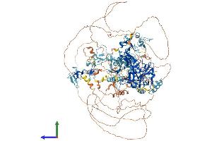 Protein Structure (PS) image for Wolf-Hirschhorn Syndrome Candidate 1-Like 1 (WHSC1L1) (AA 1-1439) protein (His tag) (ABIN7564083)