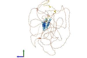 AlphaFold protein structure predicition of Mouse Recombinant Proser1 Protein, UniprotID Q5PRE5 (PROSER1 Protein (AA 1-913) (His tag))
