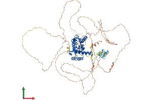 Protein Structure (PS) image for T-Cell Activation rho GTPase-Activating Protein (TAGAP) (AA 1-714) protein (His tag) (ABIN7562059)
