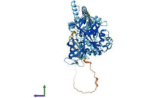 Protein Structure (PS) image for GTP Binding Protein 2 (GTPBP2) (AA 1-602) protein (His tag) (ABIN7548189)