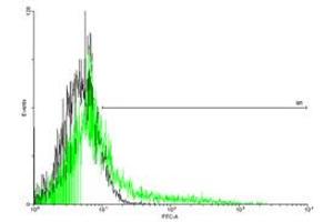 FACS analysis of negative control 293 cells (Black) and IL2RB expressing 293 cells (Green) using IL2RB purified MaxPab mouse polyclonal antibody. (IL2 Receptor beta Antikörper  (AA 1-551))